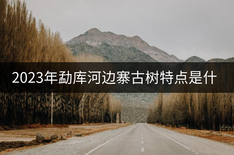 2023年勐庫(kù)河邊寨古樹(shù)特點(diǎn)是什么? 2023年勐庫(kù)河邊寨古樹(shù)特點(diǎn)是什么?