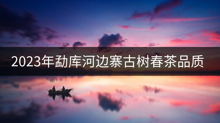 2023年勐庫河邊寨古樹春茶品質(zhì)如何？
