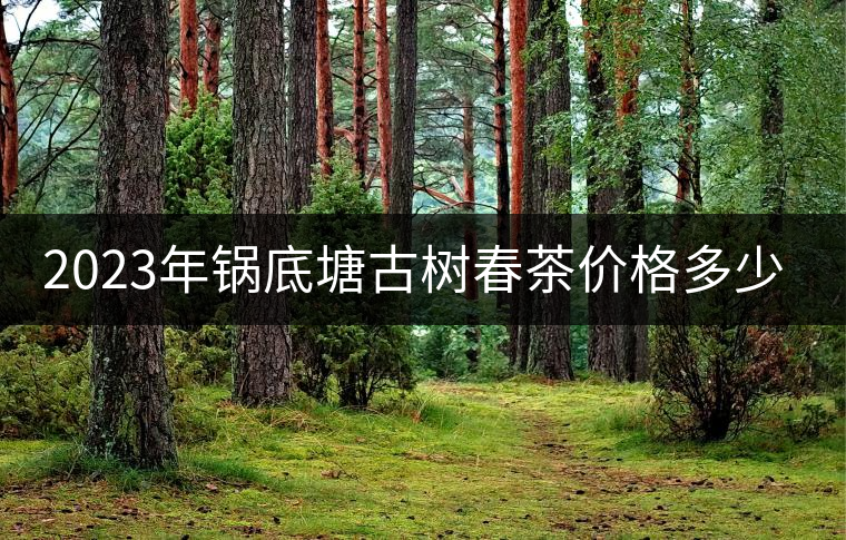 2023年鍋底塘古樹春茶價(jià)格多少？