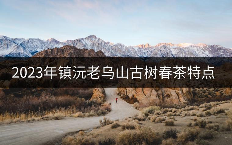 2023年鎮(zhèn)沅老烏山古樹春茶特點是什么？