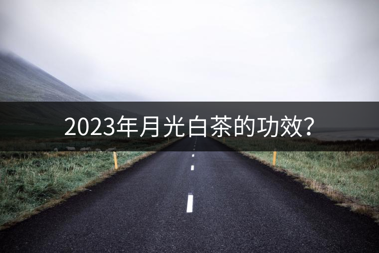 2023年月光白茶的功效？