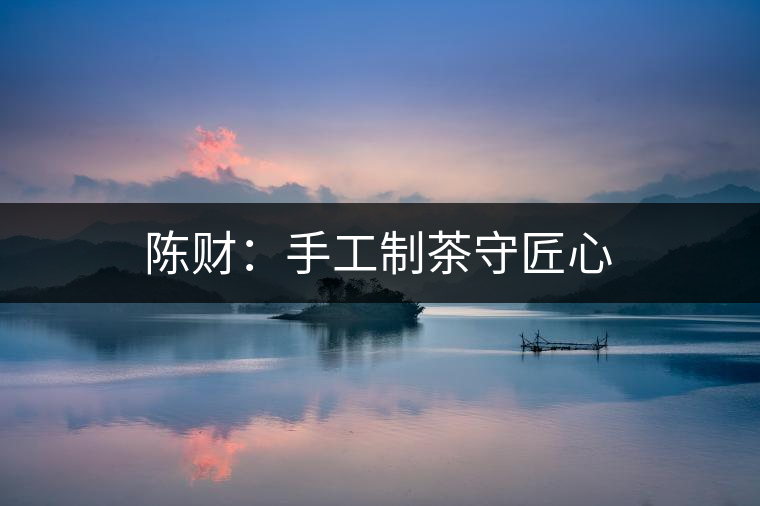 陳財(cái)：手工制茶守匠心