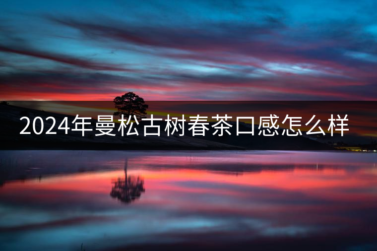 2024年曼松古樹春茶口感怎么樣？