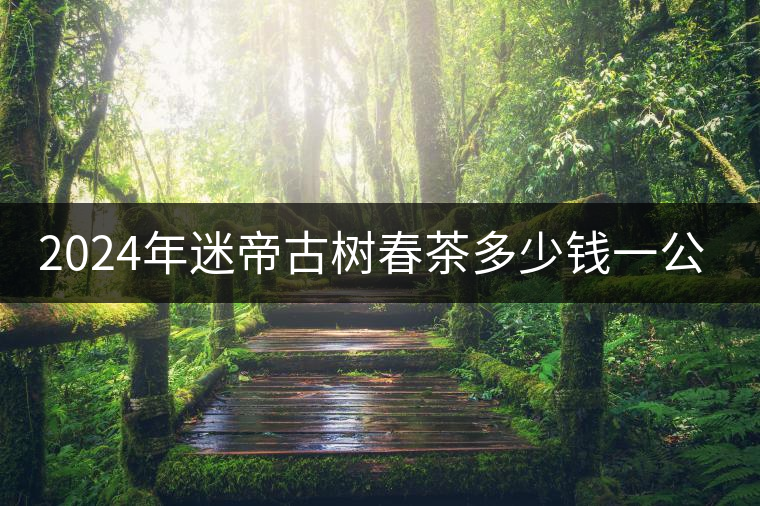 2024年迷帝古樹春茶多少錢一公斤？