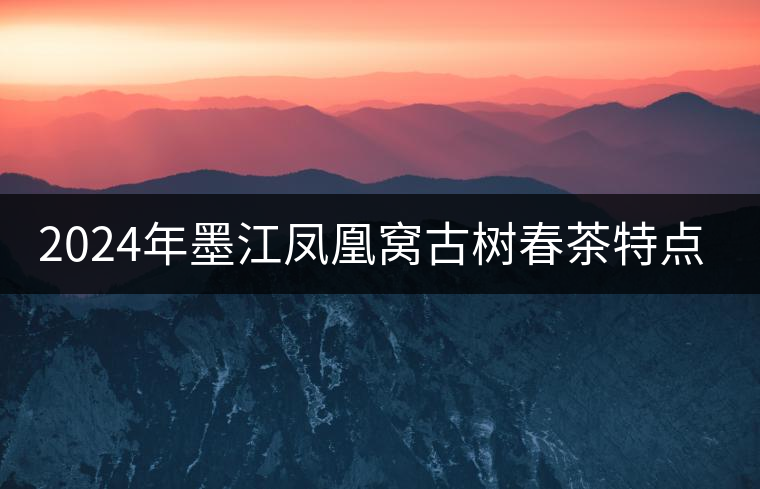 2024年墨江鳳凰窩古樹春茶特點(diǎn)是什么？