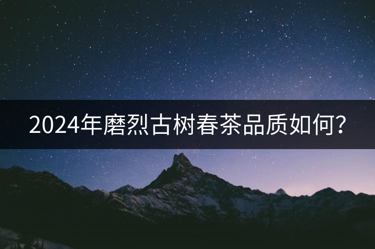 2024年磨烈古樹春茶品質(zhì)如何？