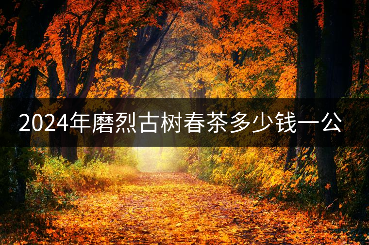 2024年磨烈古樹春茶多少錢一公斤？