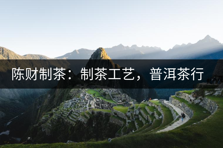 陳財制茶：制茶工藝，普洱茶行業(yè)的生死線