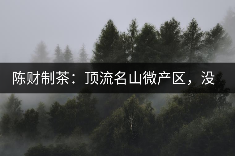 陳財制茶：頂流名山微產區(qū)，沒有意義的意義
