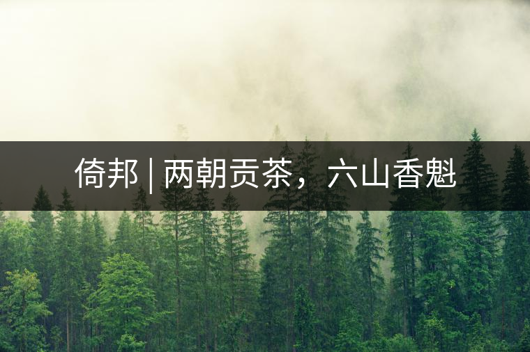 倚邦 | 兩朝貢茶，六山香魁