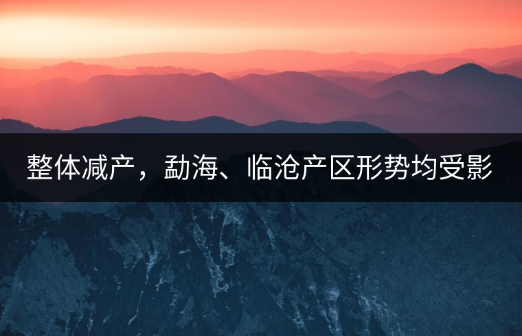 整體減產(chǎn)，勐海、臨滄產(chǎn)區(qū)形勢(shì)均受影響