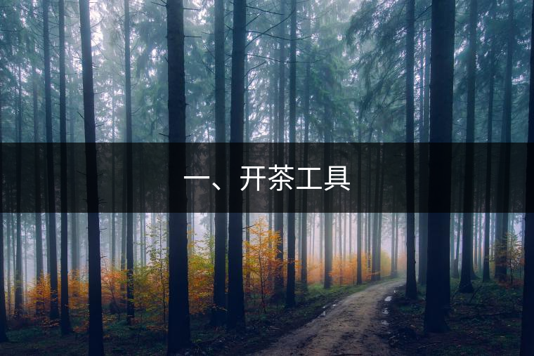 一、開(kāi)茶工具