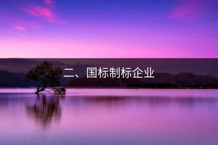 二、國標制標企業(yè)