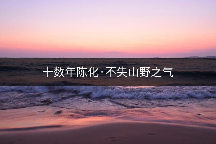 十數(shù)年陳化·不失山野之氣