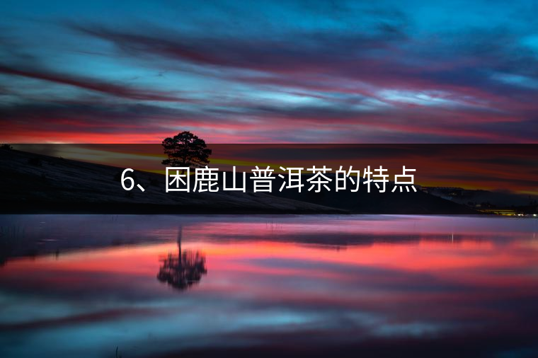 6、困鹿山普洱茶的特點