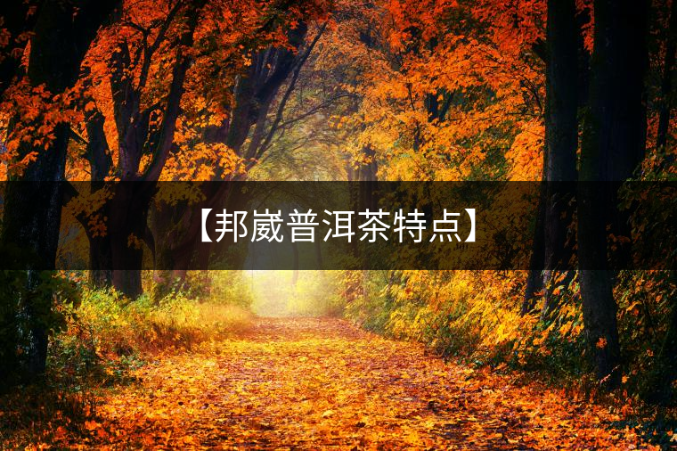 【邦崴普洱茶特點】 【邦崴普洱茶特點】