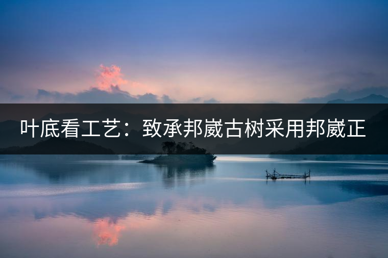葉底看工藝：致承邦崴古樹采用邦崴正山三百至五百年古茶樹頭春鮮葉。經(jīng)手工殺青，石墨壓制，餅型周正，嚴守傳統(tǒng)工藝；葉底鮮活，幾乎無糊點，前期殺青較輕，這樣更利于后期轉(zhuǎn)化。