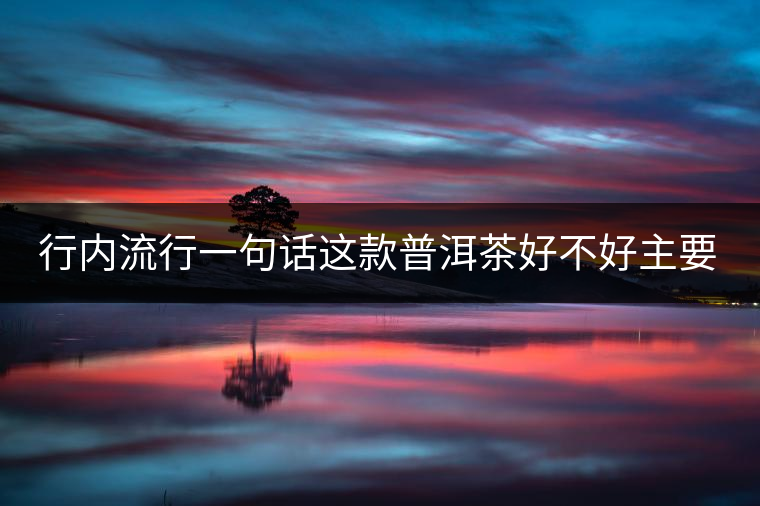 行內(nèi)流行一句話這款普洱茶好不好主要還看尾水，雖然比較片面但是也有一定道理。