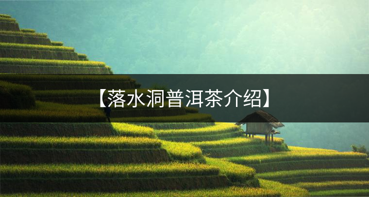 【落水洞普洱茶介紹】