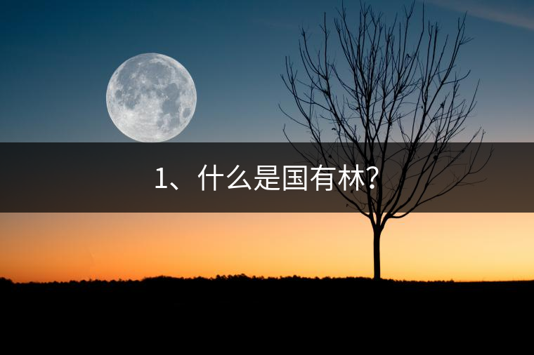 1、什么是國有林？