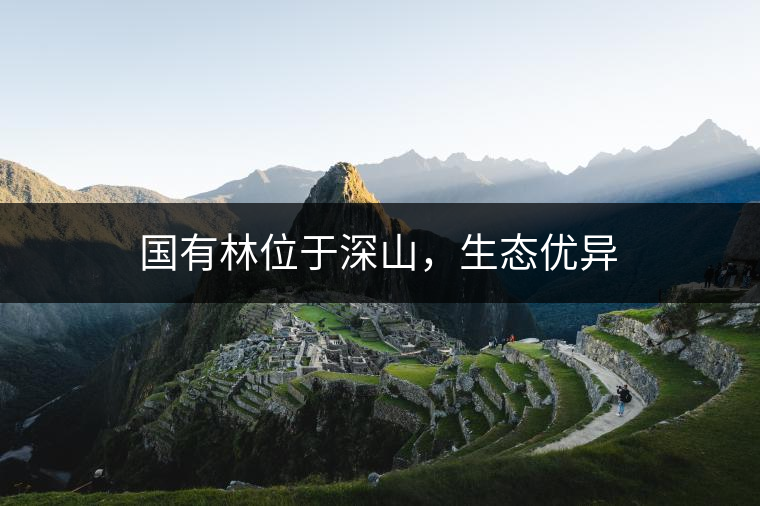 國有林位于深山，生態(tài)優(yōu)異