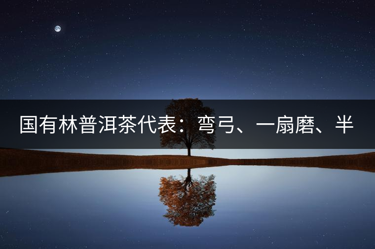 國有林普洱茶代表：彎弓、一扇磨、半坡老寨
