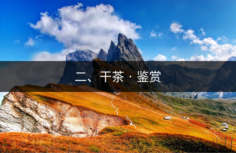二、干茶 · 鑒賞