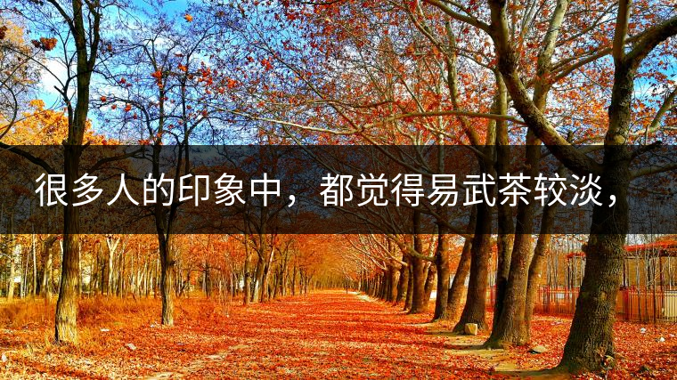 很多人的印象中，都覺得易武茶較淡，但存放幾年后，再喝又覺得茶味茶氣變濃了。我們就這個(gè)問題，考察了易武古茶山，和走訪了當(dāng)?shù)夭柁r(nóng)。我們發(fā)現(xiàn)這跟易武古樹茶的茶質(zhì)和茶農(nóng)制茶的傳統(tǒng)工藝有關(guān)。