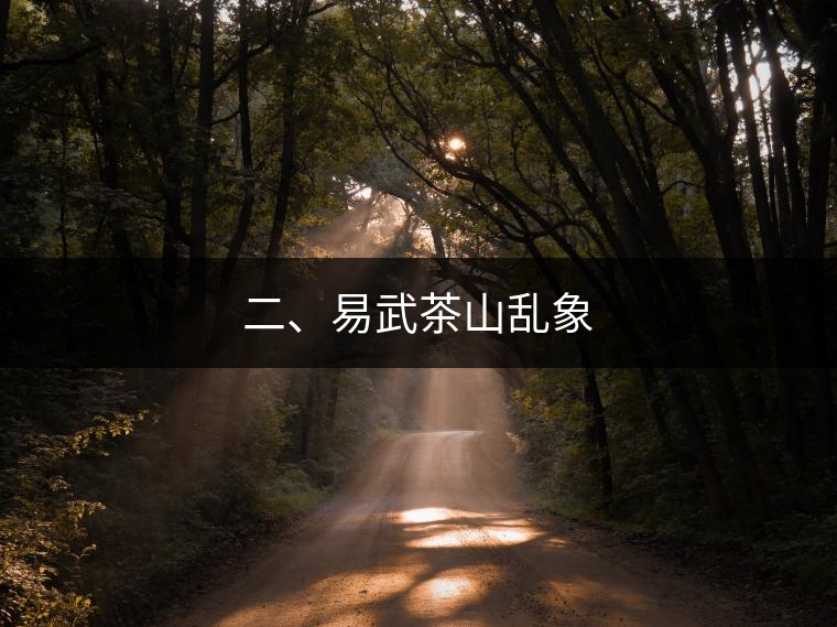 二、易武茶山亂象