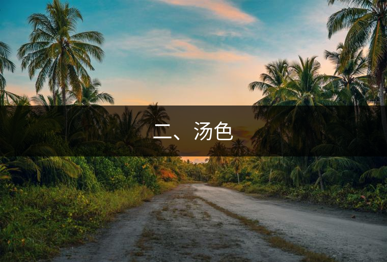 二、湯色