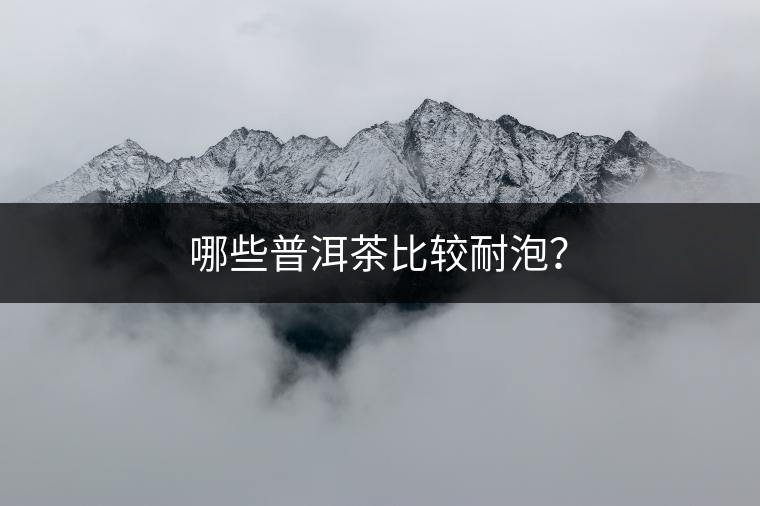 哪些普洱茶比較耐泡？