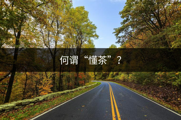 何謂“懂茶”？