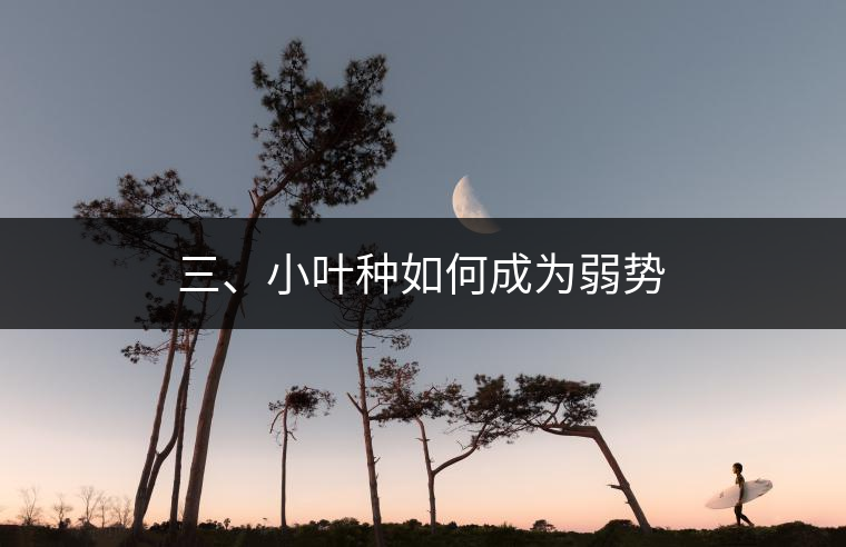 三、小葉種如何成為弱勢