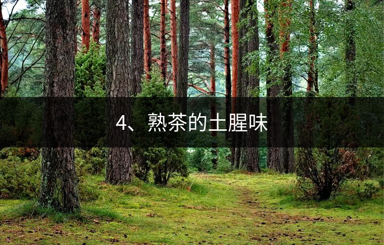 4、熟茶的土腥味