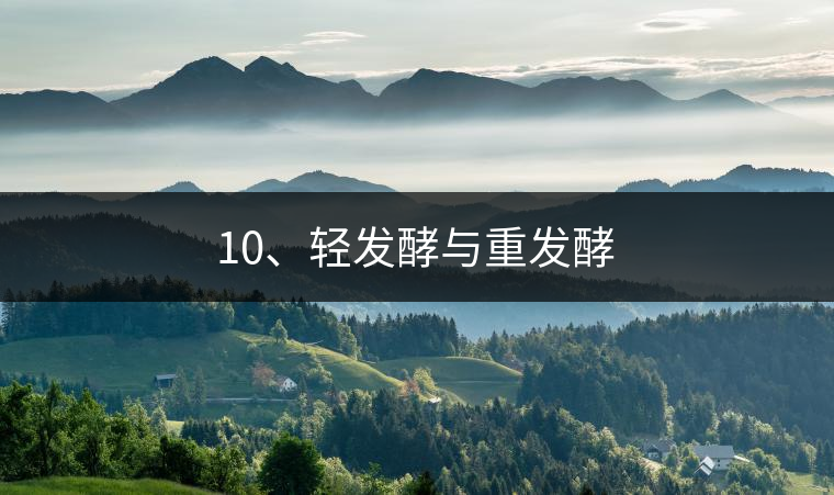 10、輕發(fā)酵與重發(fā)酵