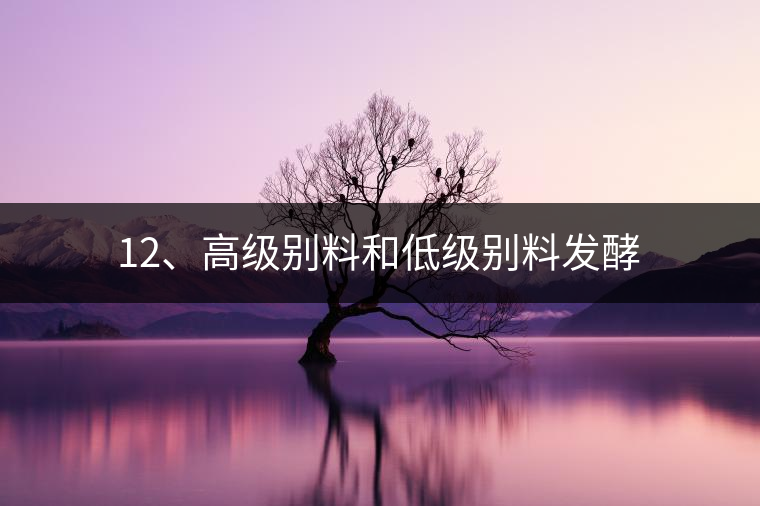 12、高級(jí)別料和低級(jí)別料發(fā)酵