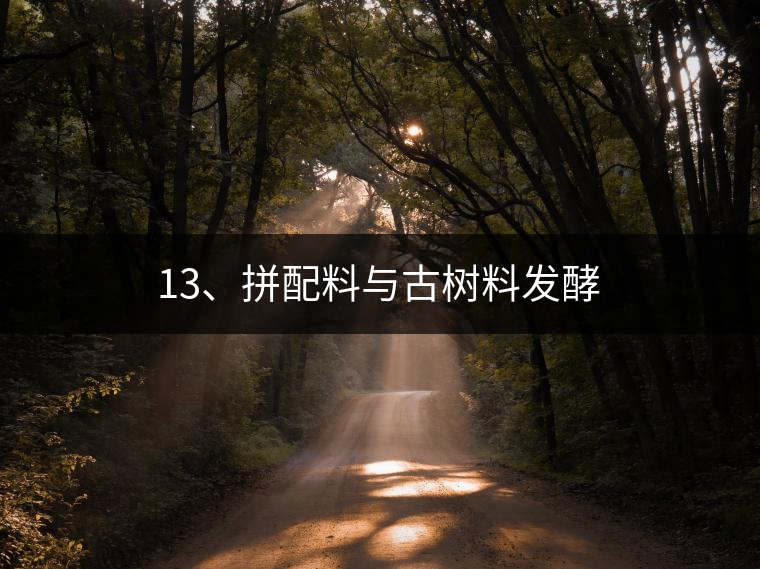 13、拼配料與古樹(shù)料發(fā)酵