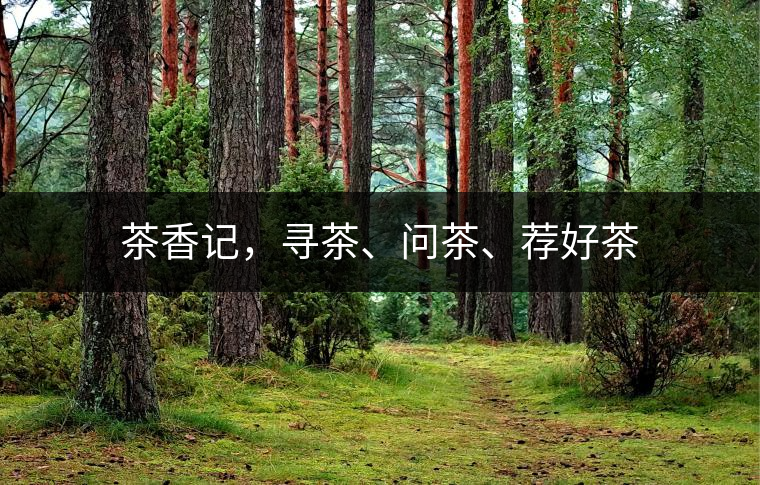 茶香記，尋茶、問(wèn)茶、薦好茶