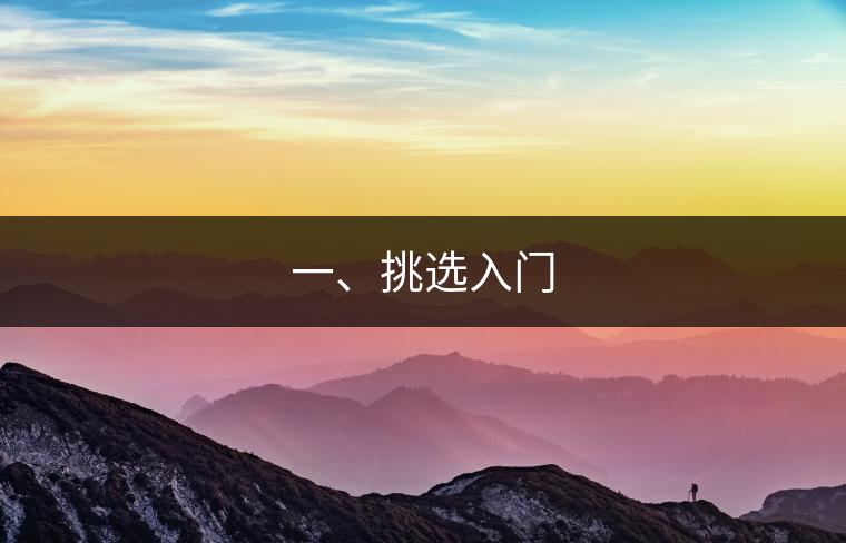 一、挑選入門