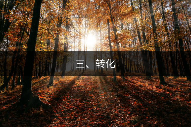 三、轉化