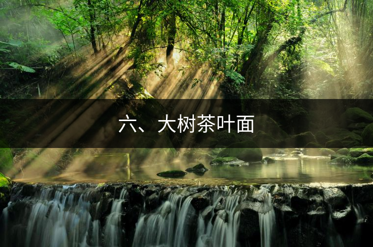 六、大樹茶葉面