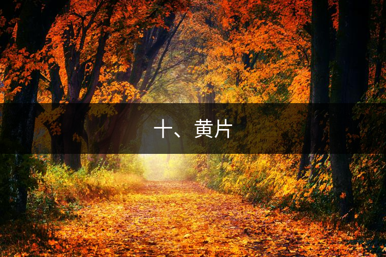 十、黃片