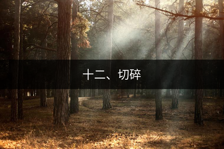 十二、切碎