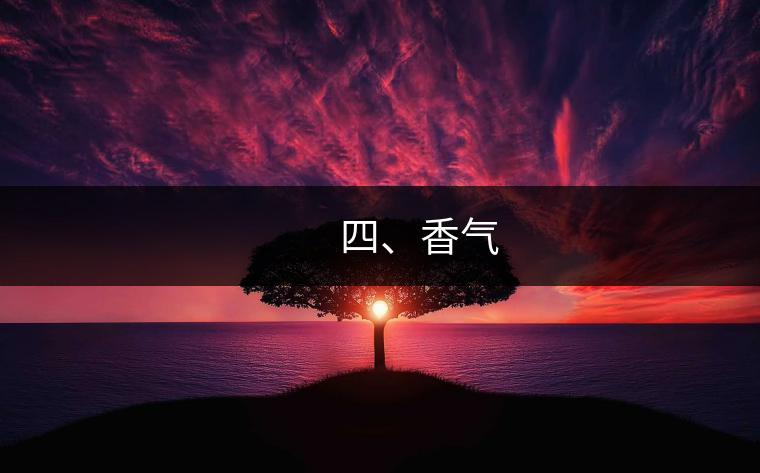 　　四、香氣