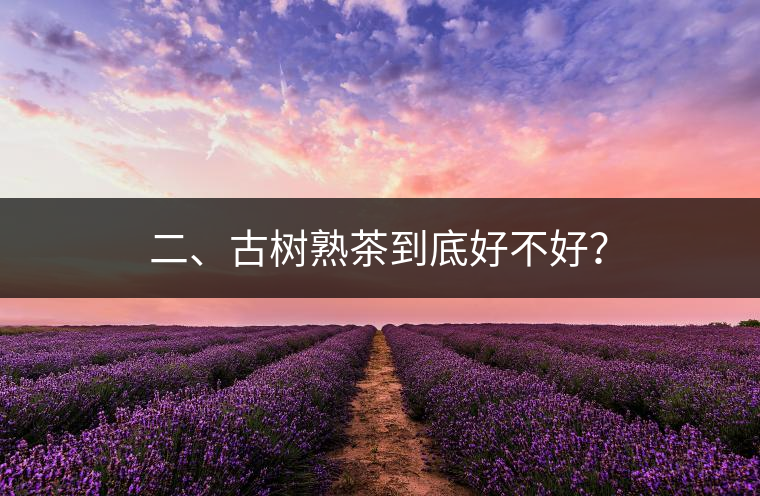 二、古樹熟茶到底好不好？