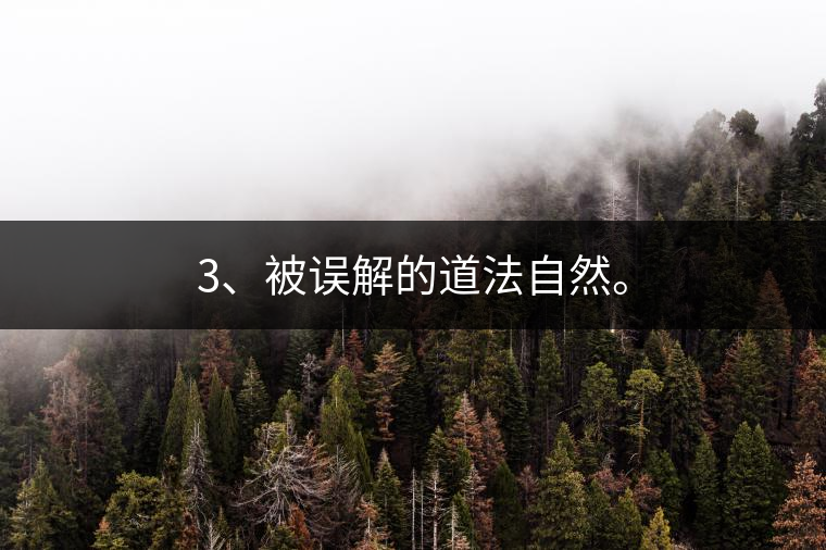 3、被誤解的道法自然。