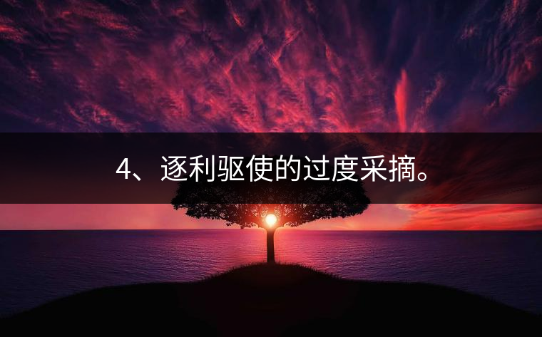 4、逐利驅(qū)使的過(guò)度采摘。