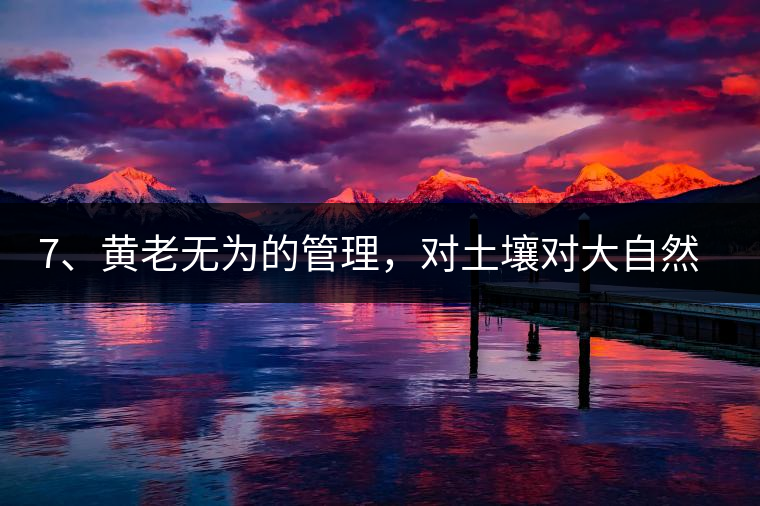 7、黃老無(wú)為的管理，對(duì)土壤對(duì)大自然的過(guò)渡依賴，對(duì)茶樹(shù)根疏忽。