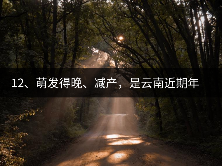 12、萌發(fā)得晚、減產(chǎn)，是云南近期年氣候變化在茶樹(shù)上的延遲反映。