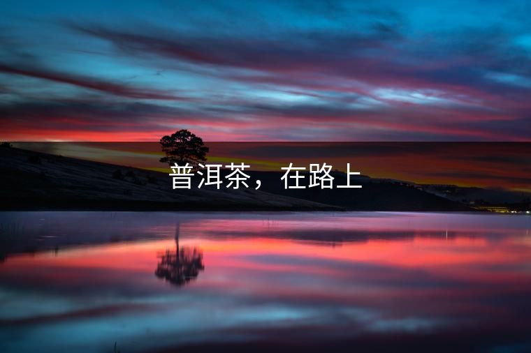 普洱茶，在路上